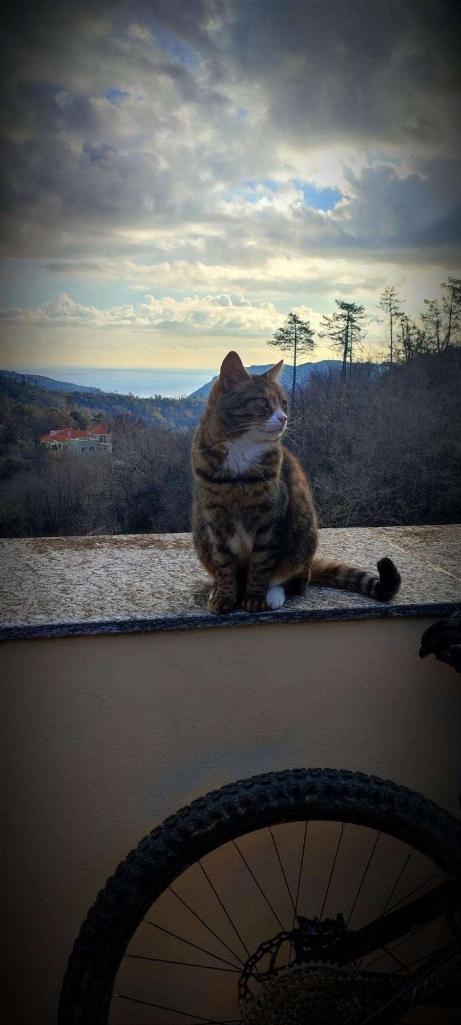 フィナーレ・リーグレ Segni E Impronta Bed & Breakfast エクステリア 写真
